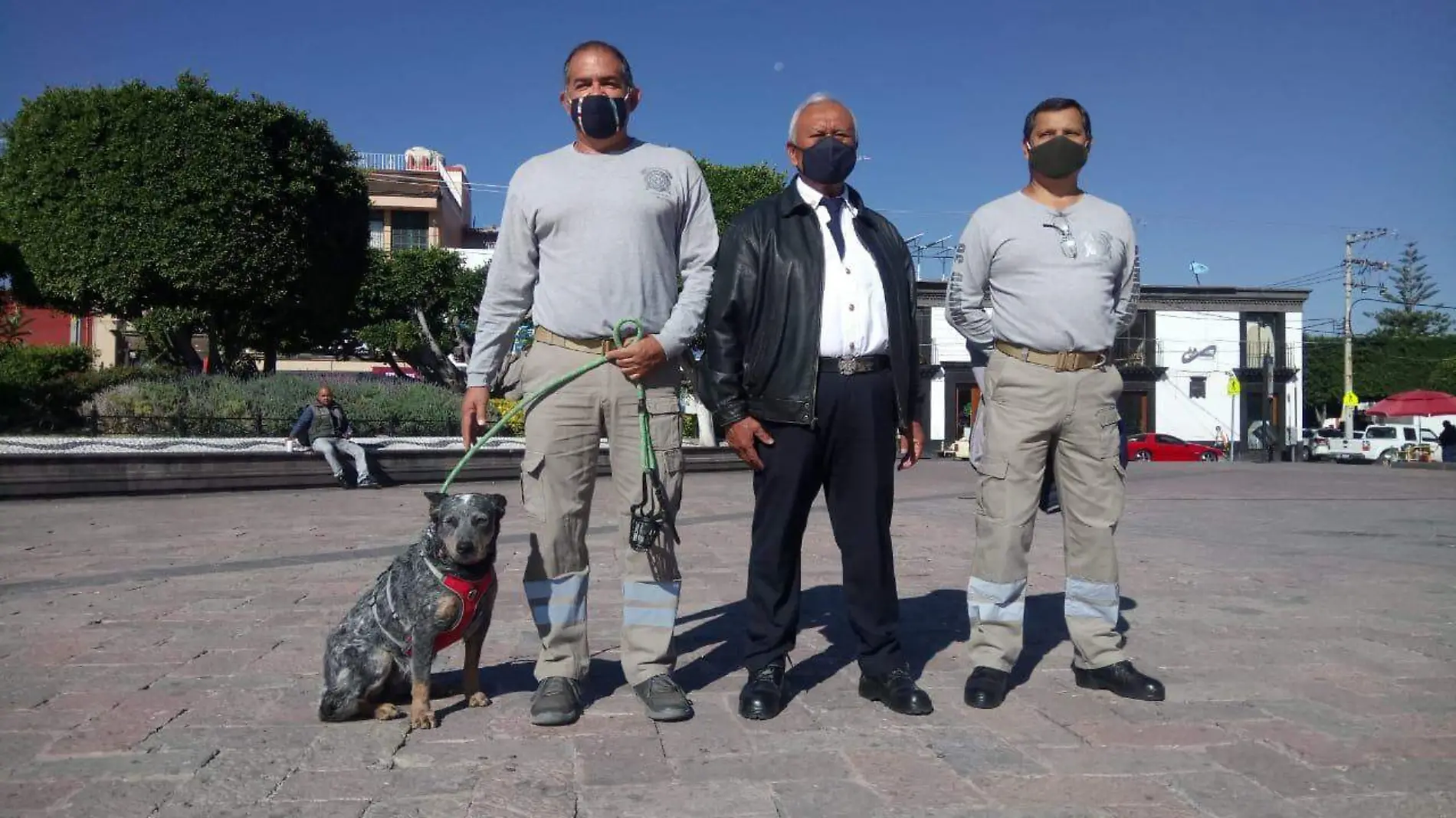 Son cinco binomios caninos con los que cuenta Bomberos Unidad 36 San Juan del R_o